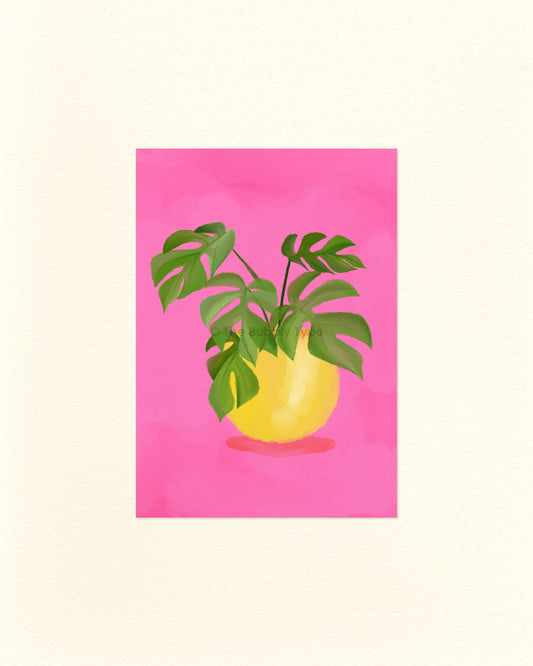 A postcard featuring a yellow plant pot with green leaves of a mini monstera plant on a pink background. Printed in Australian on 100% recycled paper.