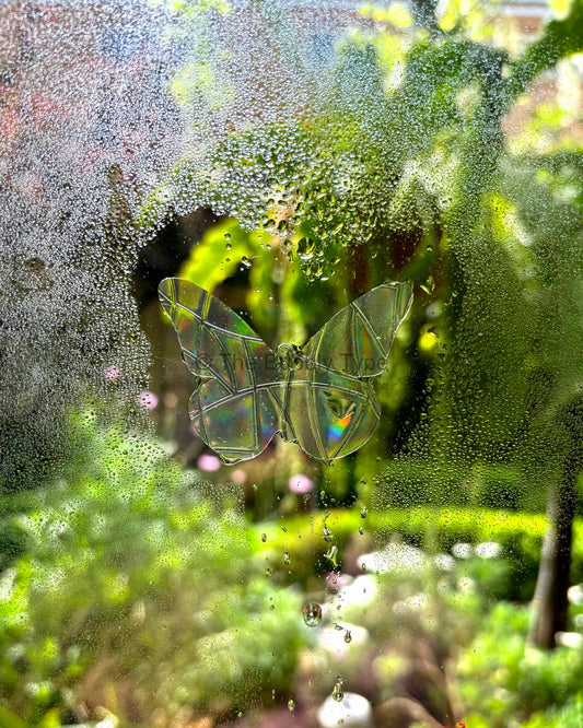 A butterfly-shaped window suncatcher made of iridescent plastic, shown on a wet glass window with water droplets, with a blurred green garden background.