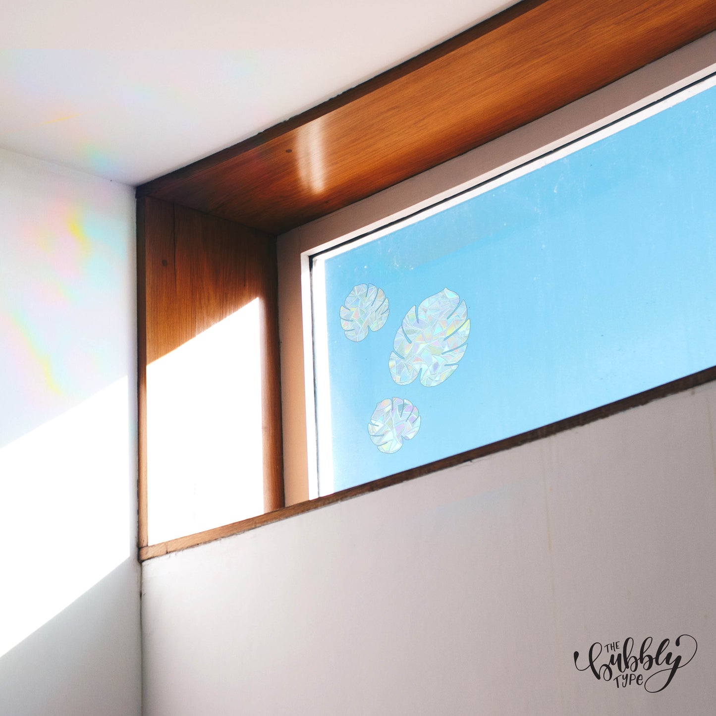 Monstera Leaf Bundle - Sun Catcher Window Stickers make rainbows appear in the sun