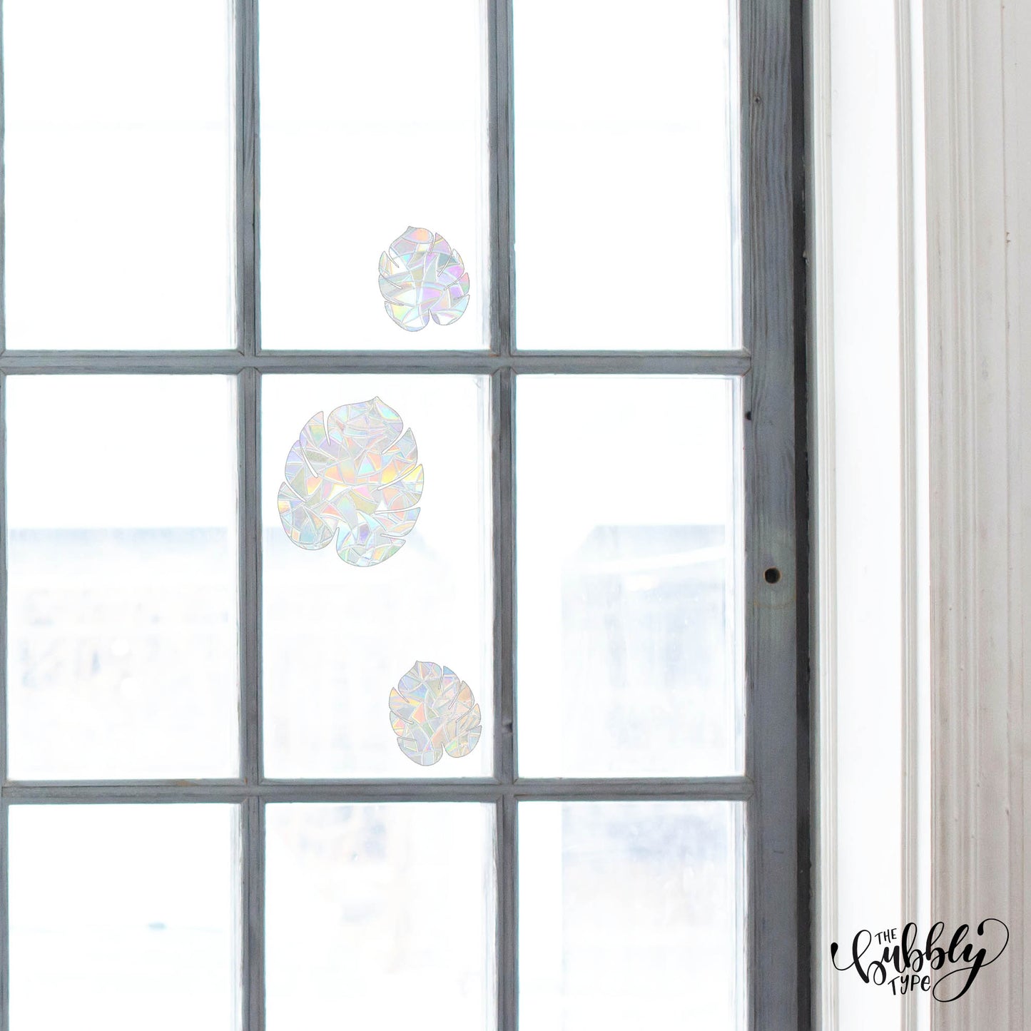 Monstera Leaf Bundle - Sun Catcher Window Stickers make rainbows appear in the sun