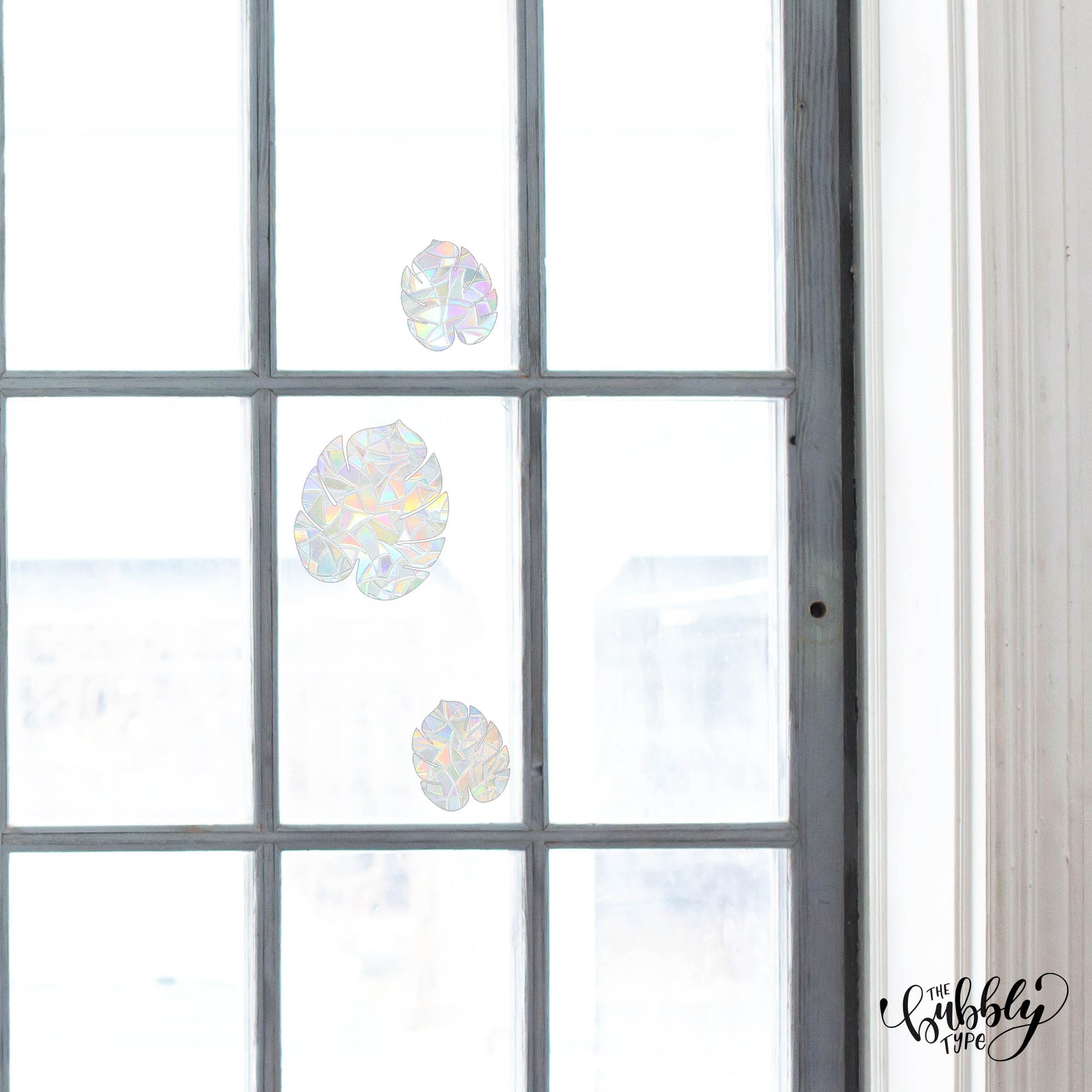 Monstera Leaf Bundle - Sun Catcher Window Stickers make rainbows appear in the sun
