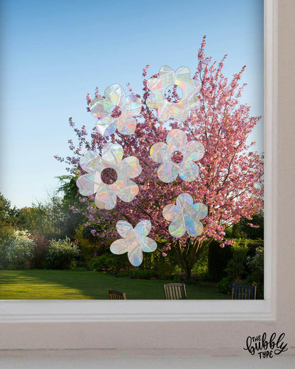 A cluster of flower shaped sun catcher window stickers stuck to a glass window. Through the window you can see a picturesque backyard with green grass wooden garden chairs and a large cherry blossom tree in full bloom showing off the pink flowers. These rainbow making sun catchers are made in Australia and are rental friendly. 