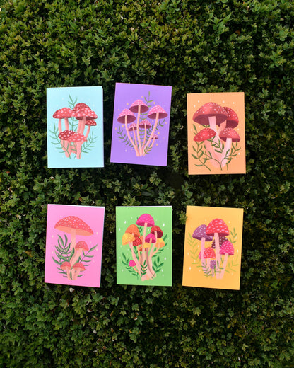 Set of six colourful mushroom cards with mushroom illustrations on a green leafy background.