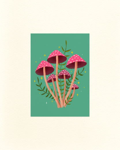 An A6 Postcard featuring an Illustration of pink mushrooms with green leaves on a teal background