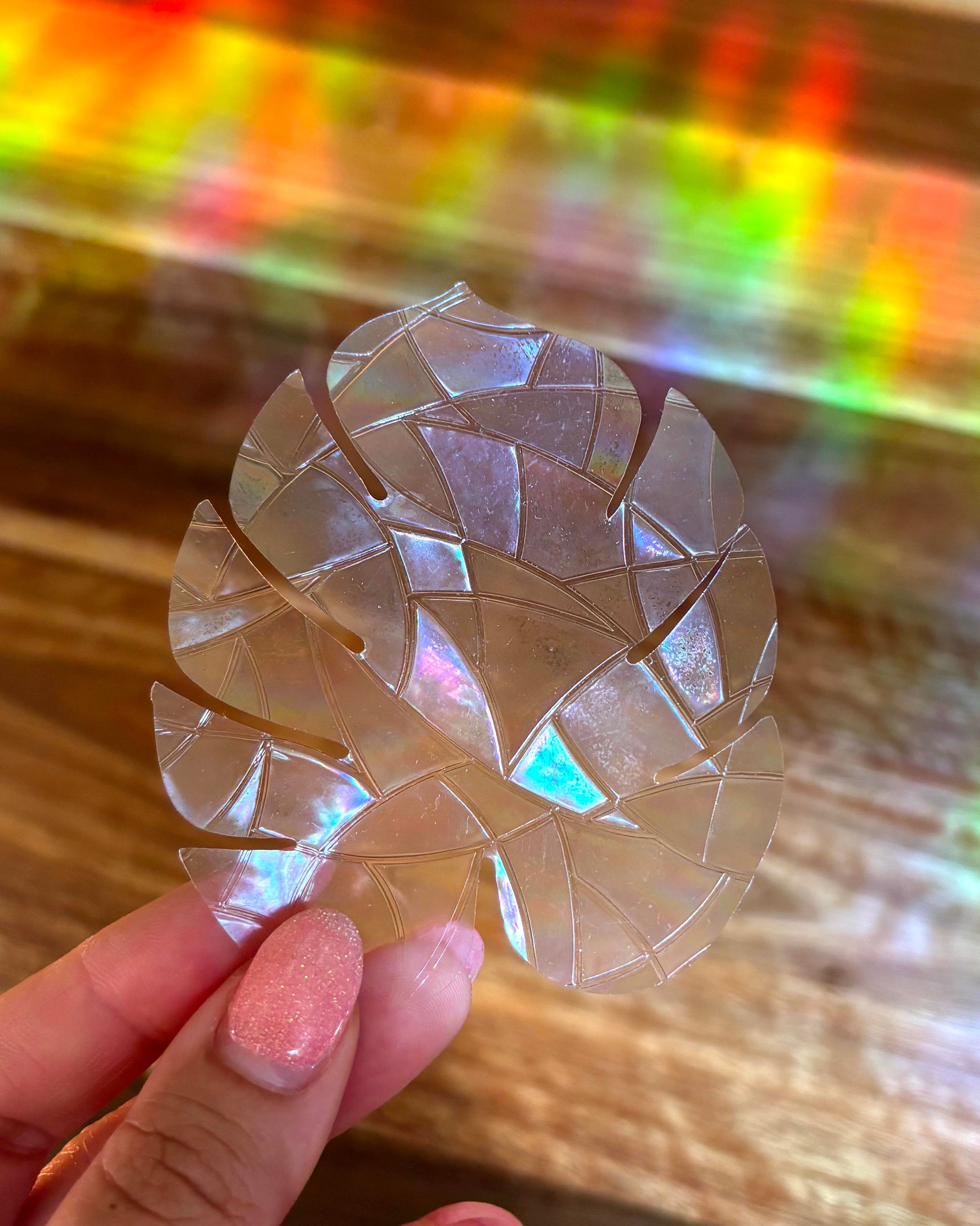 Decorative monstera leaf-shaped sun catcher sticker held by a hand with a colourful background